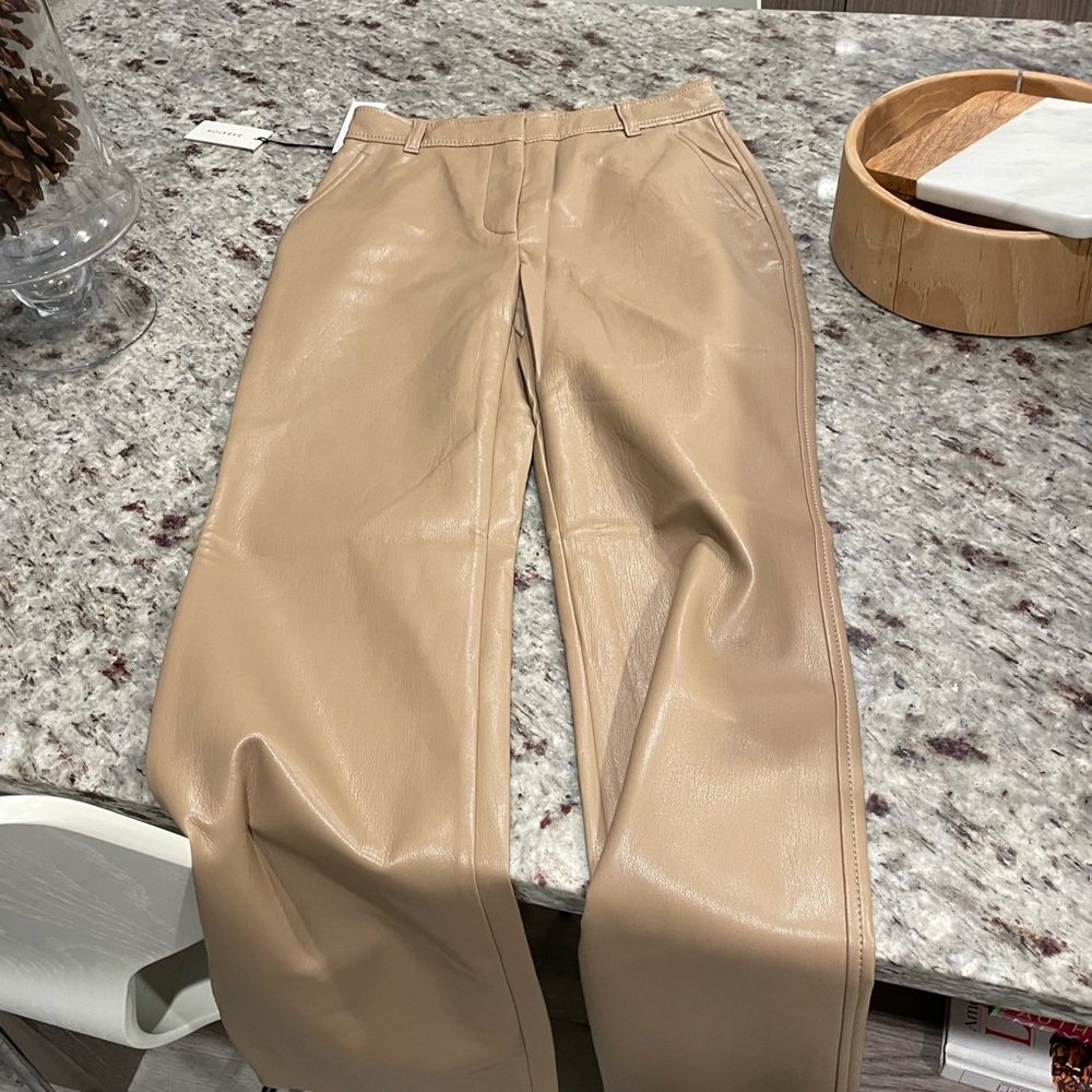 Aritzia publish pant leather